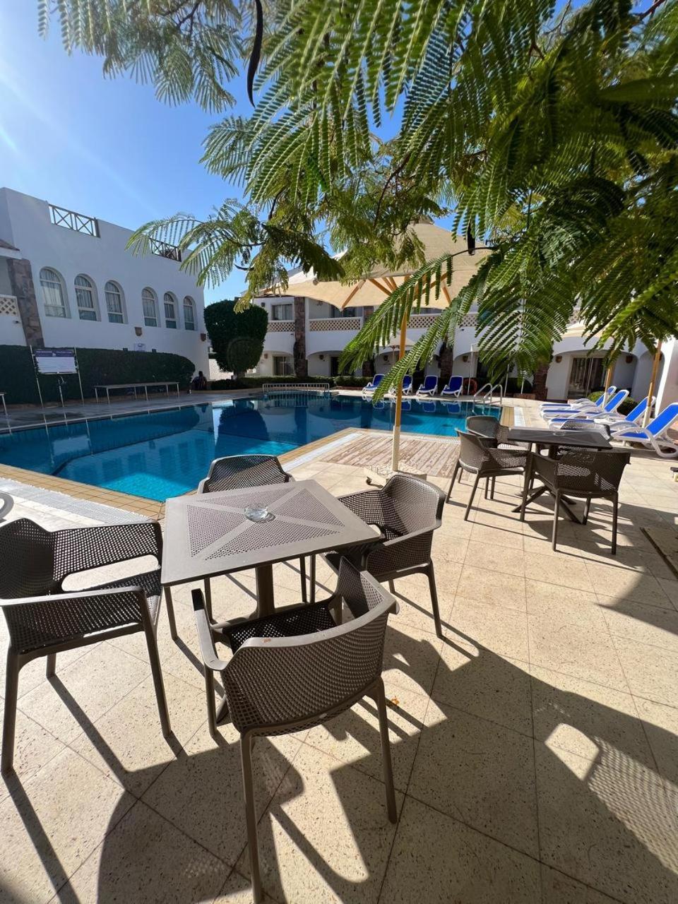 Camel Dive Club & Hotel - Boutique Hotel Шарм-еш-Шейх Екстер'єр фото